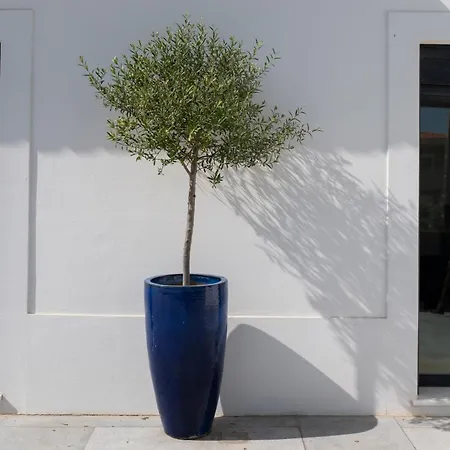 Casa Bica Vista Boutique *