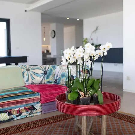 Casa Bica Vista Boutique Lourinha (Lisbon)
